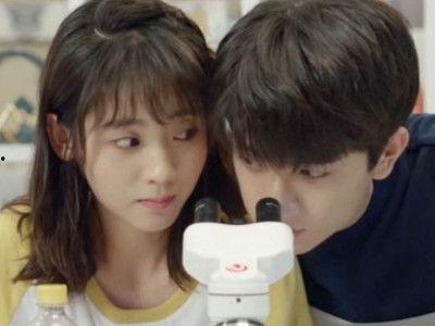 林一和邢菲最新爆料,甜蜜互动引粉丝热议