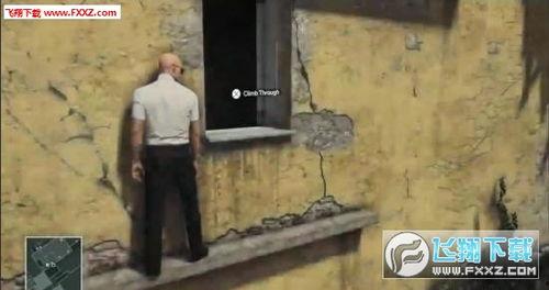 章叔爆料视频大全集免费观看,独家揭秘，免费观看，一网打尽