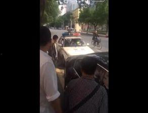 牛道爆料视频大全集最新,揭秘最新视频大全集精彩瞬间