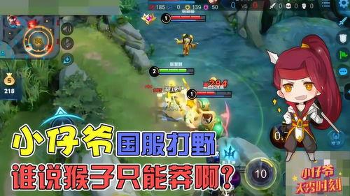 王者荣耀小仔爷爆料视频,揭秘游戏幕后精彩瞬间